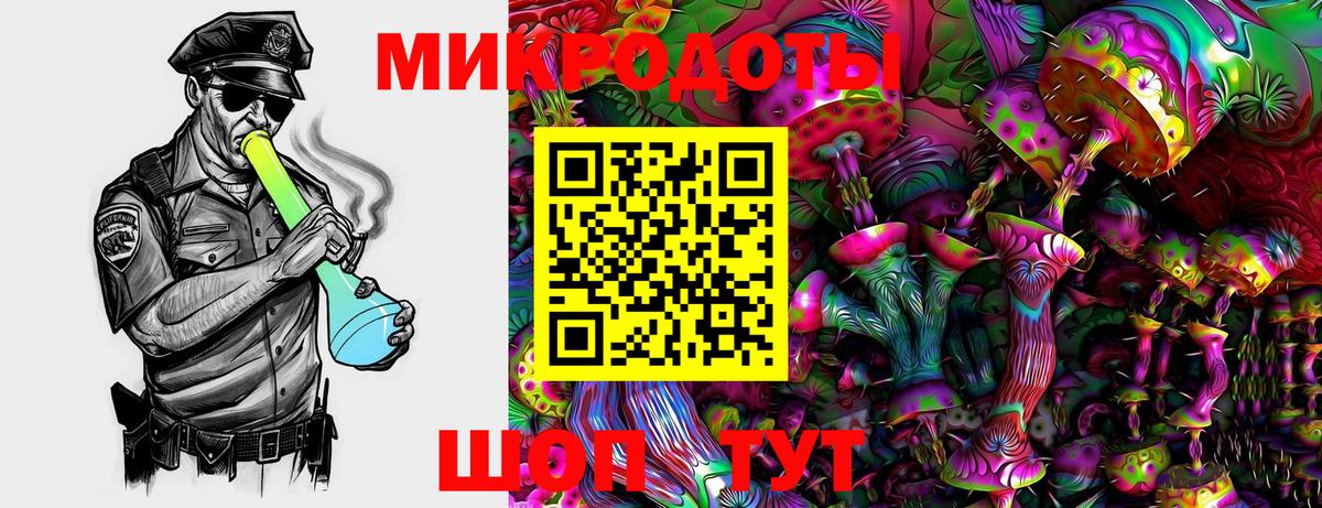 Галлюциногенные грибы Psilocybine cubensis  Вход с VPN  Санкт-Петербург 